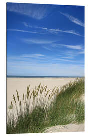 Quadro em plexi-alumínio Summer beach grass