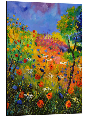 Aluminium print Meadow with wildflowers