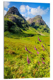 Gallery print Scotish Mountains