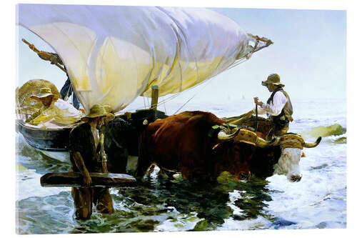 Acrylic print Oxen pulling a fishing boat