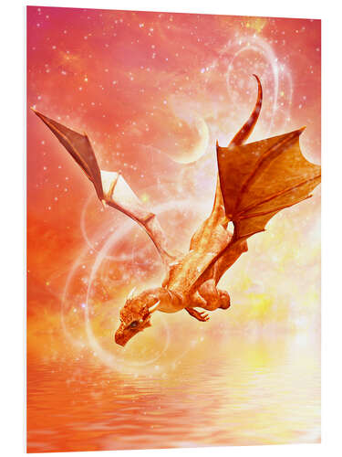 PVC print Dragon Flight