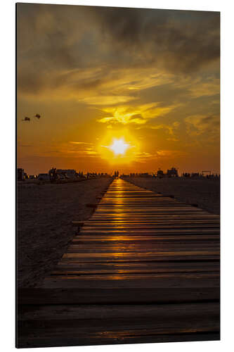 Aluminium print Evening sun in St Peter Ording on the North Sea