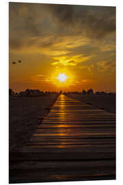 Foam board print Evening sun in St Peter Ording on the North Sea