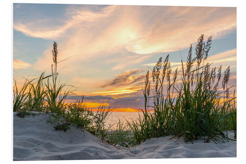 PVC print Beach of the Baltic Sea at Sunset