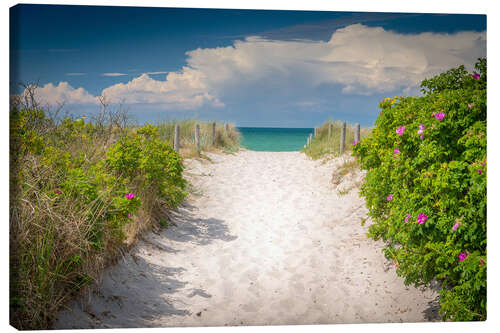 Lienzo Path through dunes of baltic sea