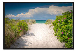 Gerahmter Kunstdruck Weg durch die Ostseedünen