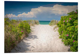 Foam board print Path through dunes of baltic sea