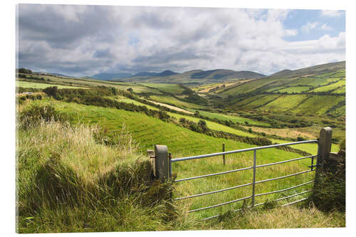 Akrylbilde Green meadows near Dingle (Kerry, Ireland)