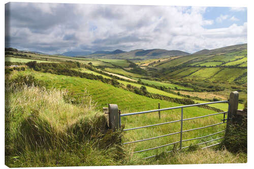 Leinwandbild Grüne Wiesen bei Dingle (Kerry, Irland)