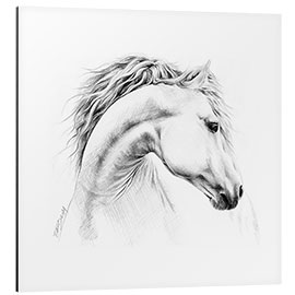 Aluminium print Horse head