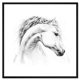 Gerahmter Kunstdruck Pferdekopf