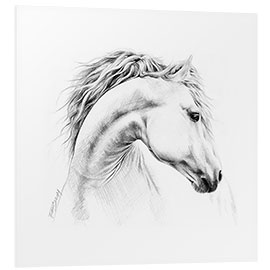 Foam board print Horse head