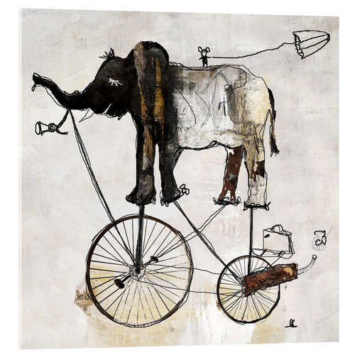 Acrylic print Elephant