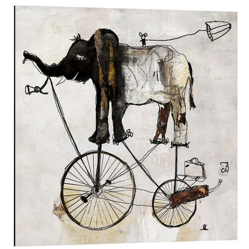 Aluminiumsbilde Elephant