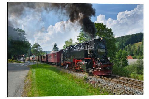 Stampa su alluminio Harz Locomotive