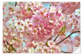 Vinilo para la pared Spring cherry blossom image