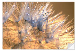 Vinilo para la pared Dandelions Magic Light