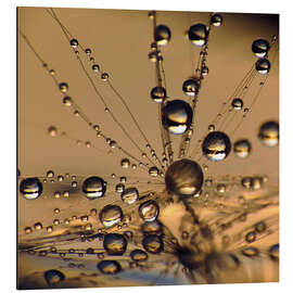 Magnettafel Pusteblume Wasser Planeten Welt