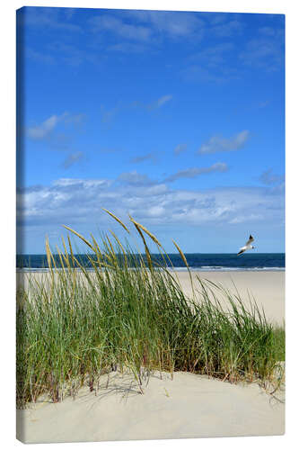 Lærredsbillede Dune with seagull