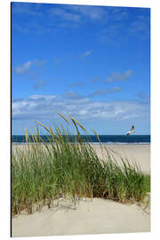Magnettafel Düne mit Seeschwalbe