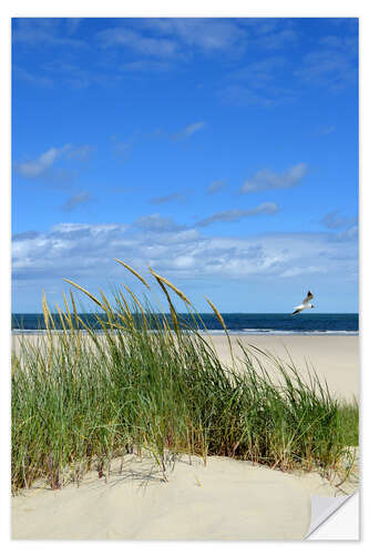 Naklejka na ścianę Dune with seagull