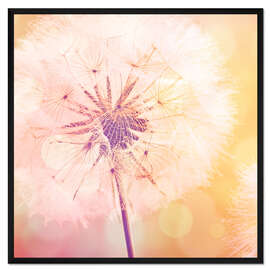 Gerahmter Kunstdruck Pusteblume