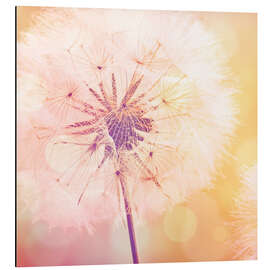 Magnettafel Pusteblume