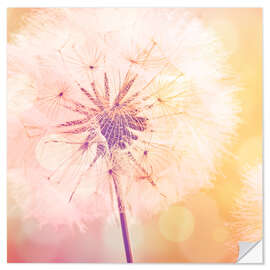 Wall sticker Dandelion 