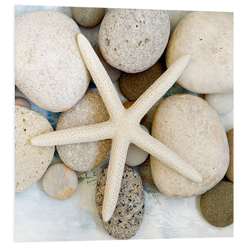 PVC-tavla Starfish