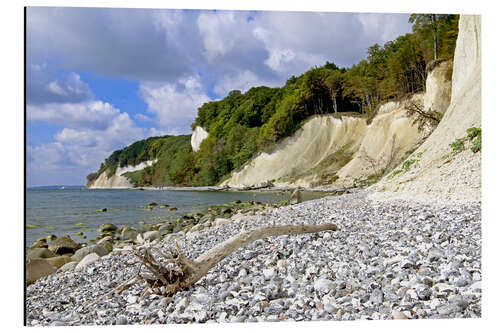 Alubild Kreideküste Insel Rügen