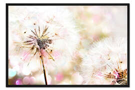 Gerahmter Kunstdruck Pusteblume 3