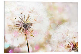 Magnettafel Pusteblume 3