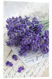 Acrylglasbild  Lavendel I - Andrea Haase Foto