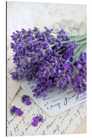 Aluminium print Lavender I