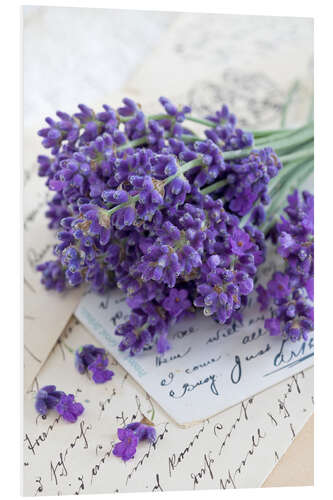 Stampa su PVC Lavanda I