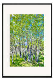 Gerahmter Kunstdruck Birken