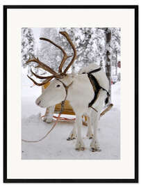 Gerahmter Kunstdruck Rentier