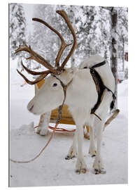 Gallery Print Rentier