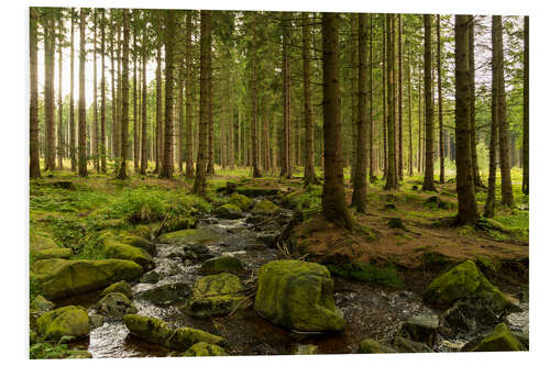 Foam board print forest with creek