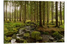 Gallery print forest with creek