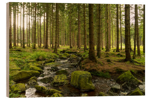 Wood print forest with creek