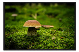 Gerahmter Kunstdruck Steinpilz