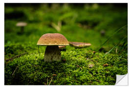 Vinilo para la pared cep