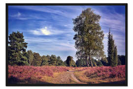 Gerahmter Kunstdruck Einsamer Pfad Lüneburger Heide