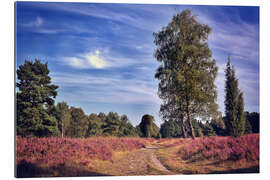 Galleritryck Einsamer Pfad Lüneburger Heide