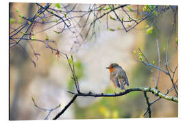 Tableau en aluminium Rouge-gorge sur une branche