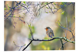 PVC print Robin on a branch