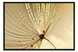 Gerahmter Kunstdruck Pusteblume Goldschirmchen