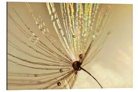 Magnettafel Pusteblume Goldschirmchen