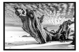 Gerahmter Kunstdruck Ostseestrand mit alter Baumwurzel (schwarz weiß)